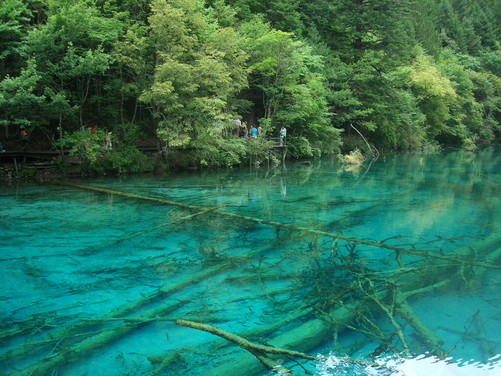 九寨归来不看水 人间仙境的自然与人文之旅