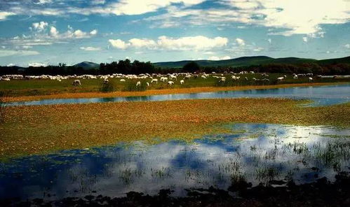 内蒙古，中国面积第一大城市 探索广袤天地中的瑰丽风光