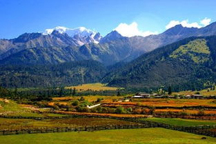 夏日悠游 六大国内避暑胜地，开启完美暑假旅程